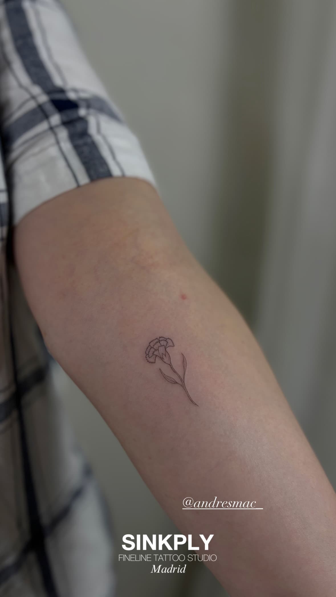 Tatuaje de clavel fineline delicado en antebrazo, línea fina